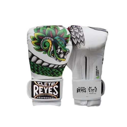 Quetzalcoatl – Training Boxing Gloves with Hook and Loop Closure