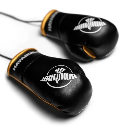 Hayabusa Mini Boxing Gloves