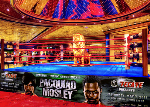 Pro Fight Boxing Ring Official Size