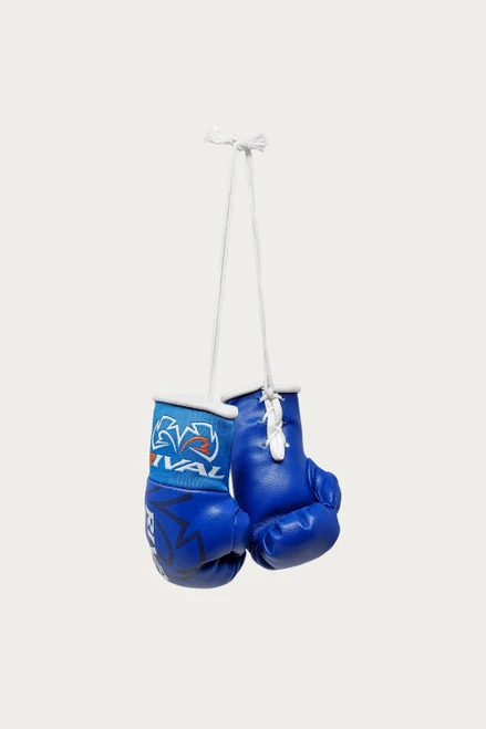 Rival Mini Boxing Gloves - Blue