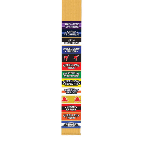 Century Power Belt Stripe - Self Discipline