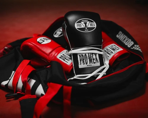 Pro Mex Professional Edge Lace Training/Sparring Boxing Gloves