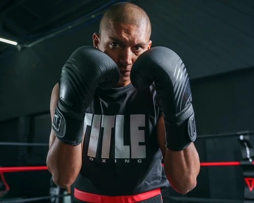 Viper by TITLE Boxing Select Training Boxing Gloves 2.0