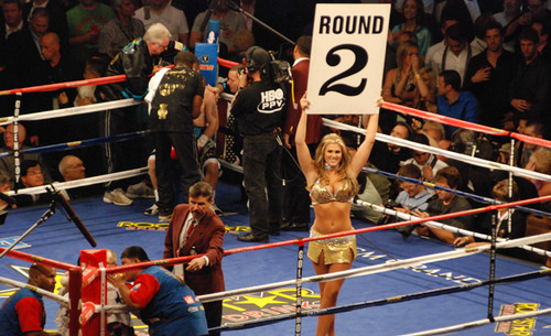 22' X 22' Custom Professional Boxing Ring  22' X 22' Custom Professional Boxing Ring