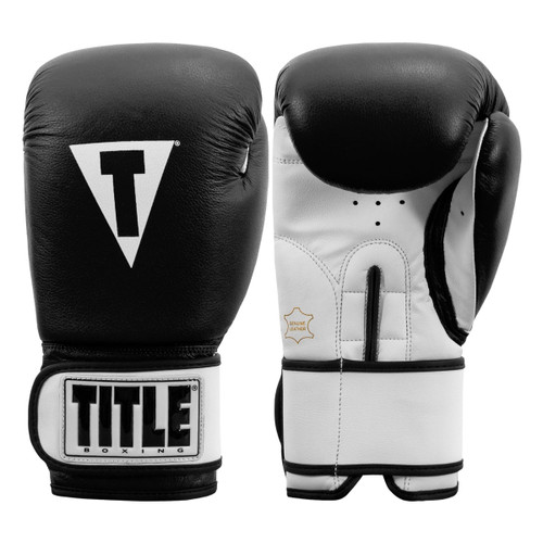 TITLE Premier Leather Super Bag Boxing Gloves 2.0