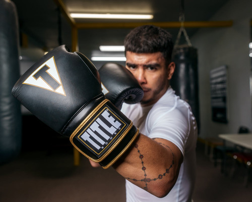TITLE Boxeo Mexican Leather Training Boxing Gloves Quatro