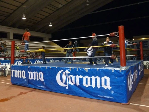 Pro Wrestling Ring 16' X 16'