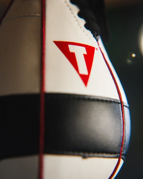 TITLE Boxing Lightning Fast Speed Bag