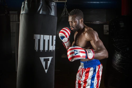 TITLE Boxing Infused Foam Combat USA Training Boxing Gloves