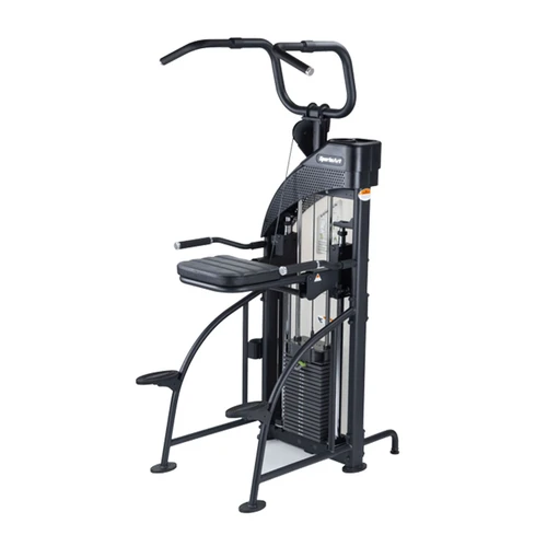 SportsArt DF307 Performance Dual Function Chin-Up/Tricep Dip