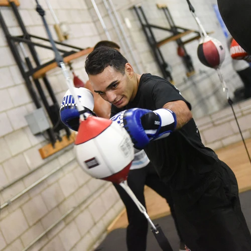 Ringside Omega Sparring Gloves