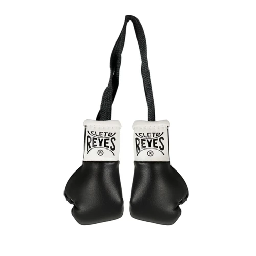 Cleto Reyes Mini Boxing Gloves