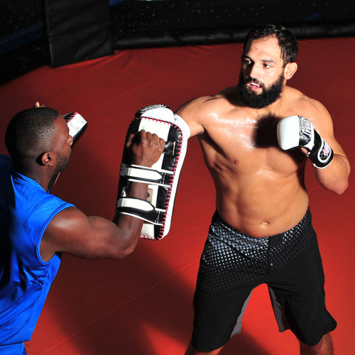 Fairtex Curved Standard Thai Kick Pads