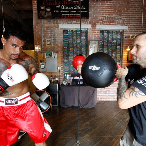 Ringside Angled Boxing Punch Shield Pad