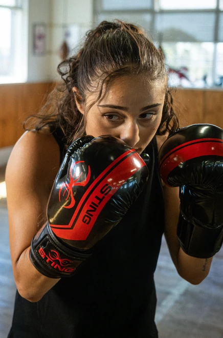 Sting Armalite Boxing Gloves - Black/Red