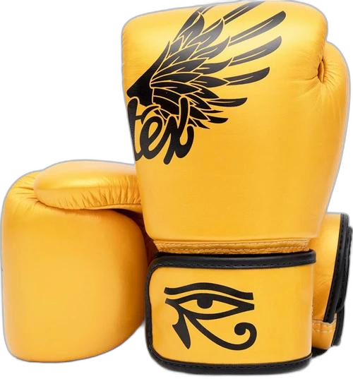 Fairtex BGV1 Falcon Gold boxing gloves
