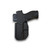  Quick Ship Walther PDP IWB