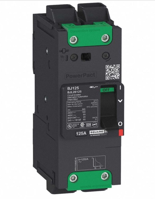 SQUARE D BDL26100 N 100A 2P 480V NEW