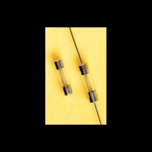 FERRAZ SHAWMUT GSC4 4A 125V Class GLASS NEW