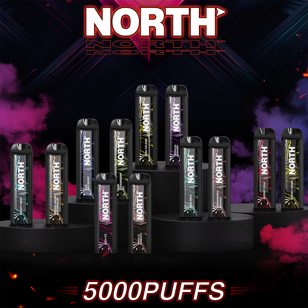 NORTH NIC 5% RECHARGEABLE DISPOSABLE 10ML 5000 PUFFS