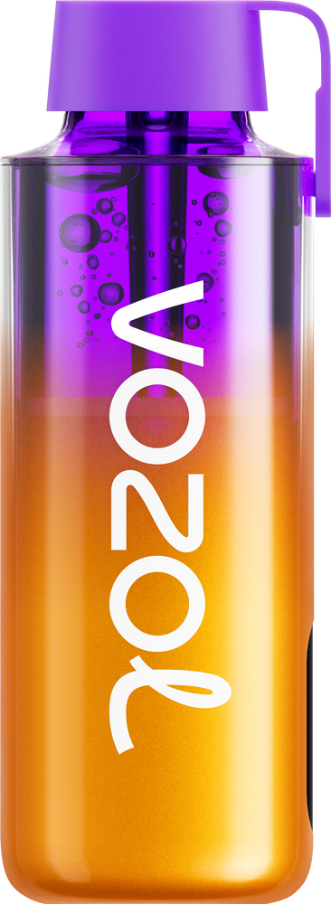 VOZOL NEON 10000 PUFFS 10ML DISPOSABLE VAPE - 5CT DISPLAY