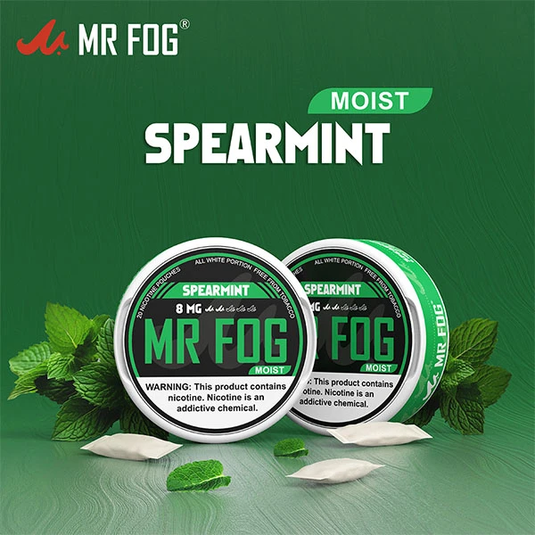 MR FOG NICOTINE POUCHES 8MG - 20CT/5PK