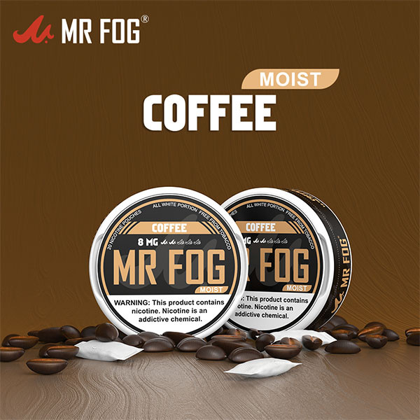 MR FOG NICOTINE POUCHES 8MG - 20CT/5PK
