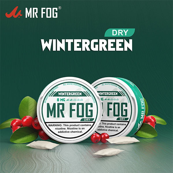 MR FOG NICOTINE POUCHES 8MG - 20CT/5PK