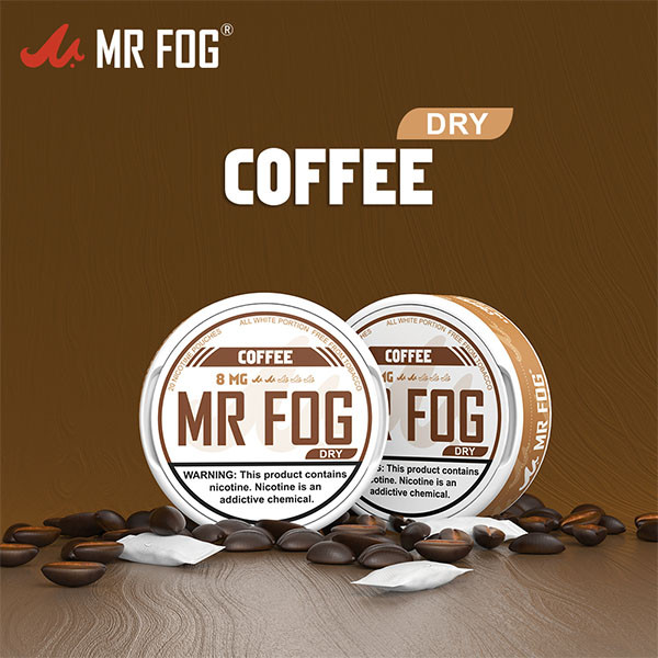 MR FOG NICOTINE POUCHES 8MG - 20CT/5PK