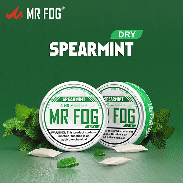 MR FOG NICOTINE POUCHES 4MG - 20CT/5PK