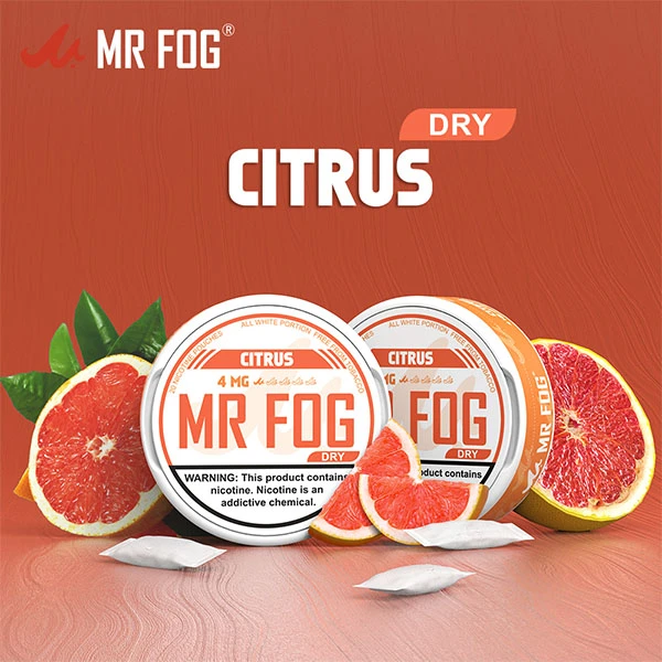 MR FOG NICOTINE POUCHES 4MG - 20CT/5PK