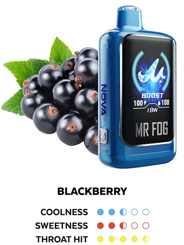 MR FOG NOVA BLUE RAZZ STEEZY SERIES 36,000 PUFFS DISPOSABLE VAPE - DISPLAY OF 5
