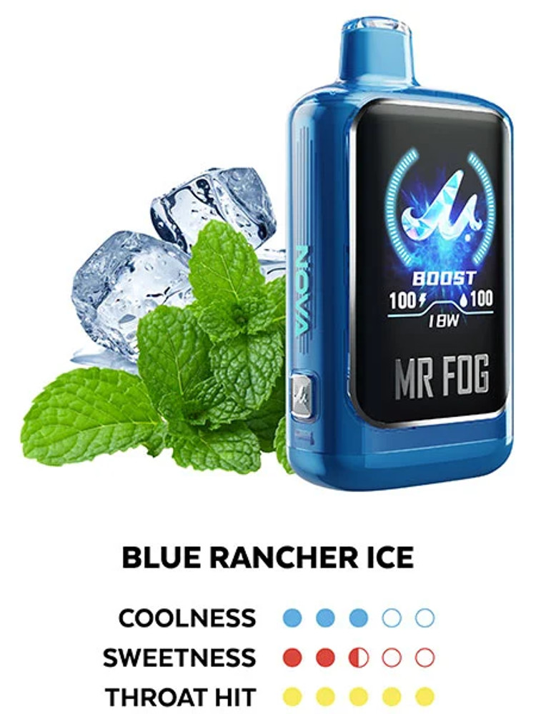 MR FOG NOVA BLUE RAZZ STEEZY SERIES 36,000 PUFFS DISPOSABLE VAPE - DISPLAY OF 5