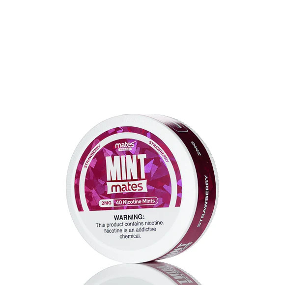 MINT MATES 40-PACK NICOTINE MINTS - DISPLAY OF 5