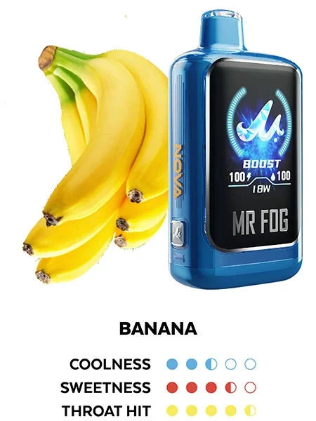 MR FOG NOVA BLUE RAZZ STEEZY SERIES (ZERO NICOTINE) 36,000 PUFFS DISPOSABLE VAPE - DISPLAY OF 5