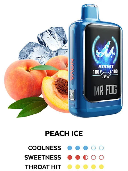 MR FOG NOVA BLUE RAZZ STEEZY SERIES (ZERO NICOTINE) 36,000 PUFFS DISPOSABLE VAPE - DISPLAY OF 5