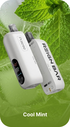 REIGN BAR PALETTE 50,000 PUFFS DISPOSABLE VAPE (FULL KIT) - DISPLAY OF 5