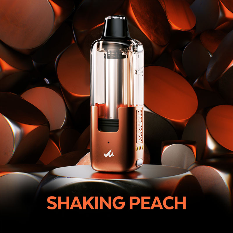 MR FOG SWITCH 45,000 PUFFS (ONLY POD) DISPOSABLE VAPE - DISPLAY OF 5