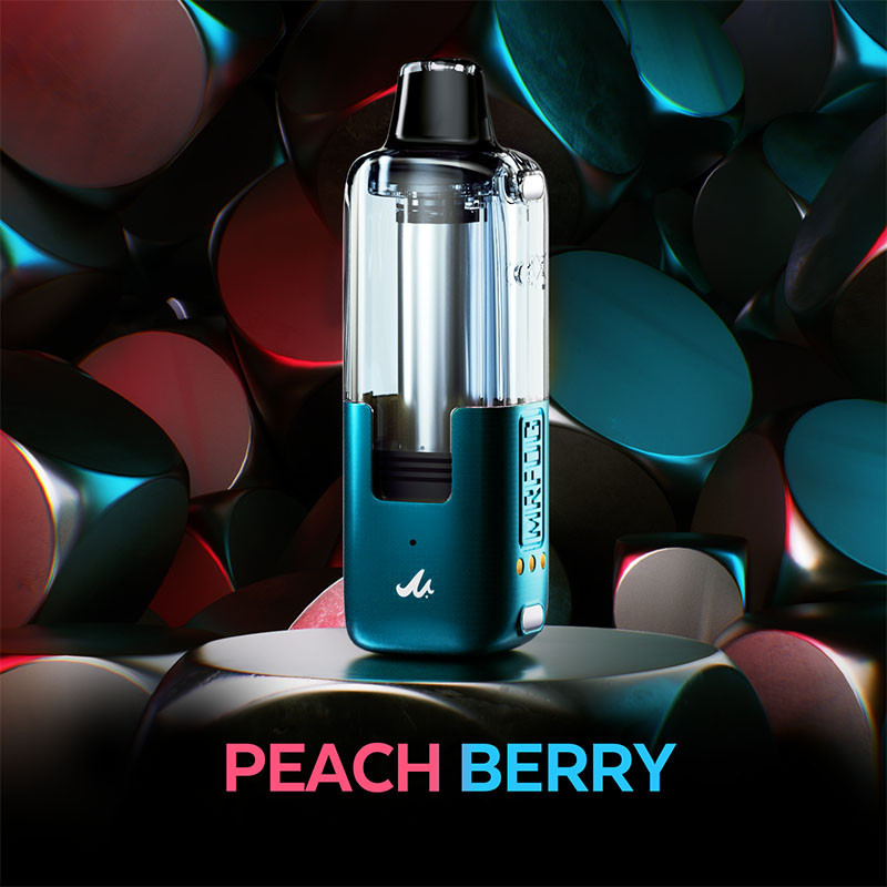 MR FOG SWITCH 45,000 PUFFS (ONLY POD) DISPOSABLE VAPE - DISPLAY OF 5 (USA COMPLIANT VAPE)