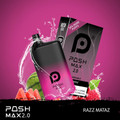  POSH MAX V2.0 5% NICSALT DISPOSABLE VAPE 5200 PUFFS 14ML - 5CT DISPLAY 