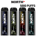 NORTH NIC 5% RECHARGEABLE DISPOSABLE 10ML 5000 PUFFS - DISPLAY OF 10