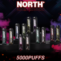 NORTH NIC 5% RECHARGEABLE DISPOSABLE 10ML 5000 PUFFS