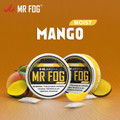 MR FOG NICOTINE POUCHES 8MG - 20CT/5PK