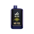 MR FOG NOVA 20ML 36,000 PUFFS DISPOSABLE VAPE Blueberry Watermelon Ice