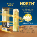 NORTH (HABIBI EDITION) 5000 PUFFS DISPOSABLE VAPE - DISPLAY OF 10