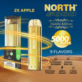 NORTH (HABIBI EDITION) 5000 PUFFS DISPOSABLE VAPE - DISPLAY OF 10