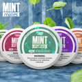 MINT MATES 40-PACK NICOTINE MINTS - DISPLAY OF 5