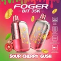 FOGER BIT 35,000 PUFFS DISPOSABLE VAPE - DISPLAY OF 5