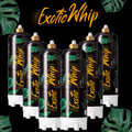 EXOTIC WHIP CREAM CHARGERS 670G NITROUS OXIDE - DISPLAY OF 6
