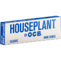 HOUSEPLANT BY OCB CLASSIC CONE - DISPLAY OF 32